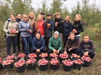 Весела та «смачна» практика